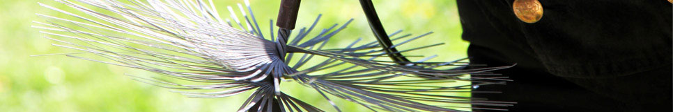 Banner - Michael Klein